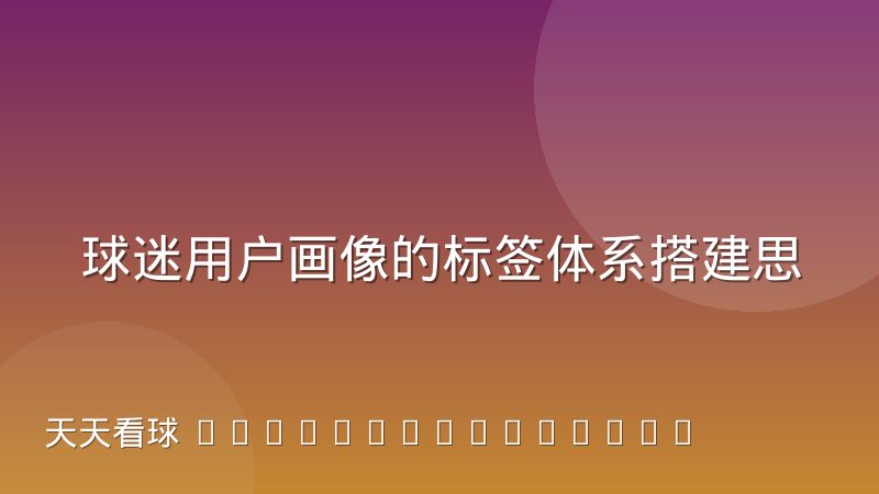 球迷用户画像的标签体系搭建思路与实际偏差